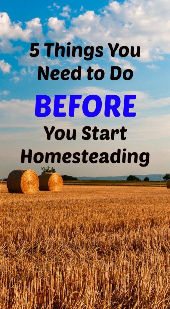 5 Things You Need to Do BEFORE You Start Homesteading | Green Bella Journey