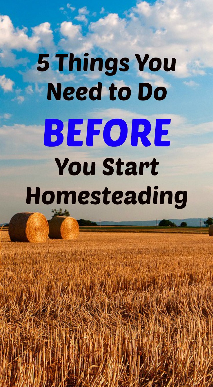 5 Things You Need to Do BEFORE You Start Homesteading | Green Bella Journey