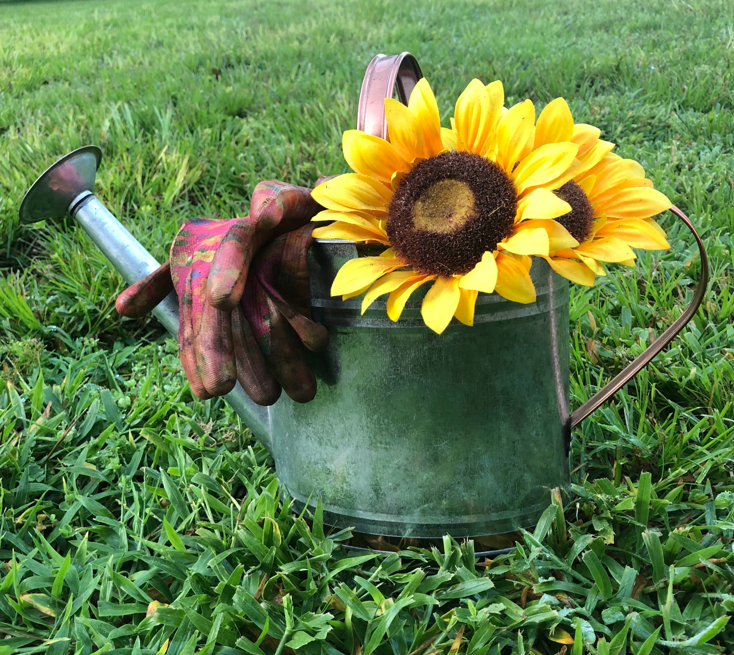 Gardening Tools You Can't Live Without | Green Bella Journey